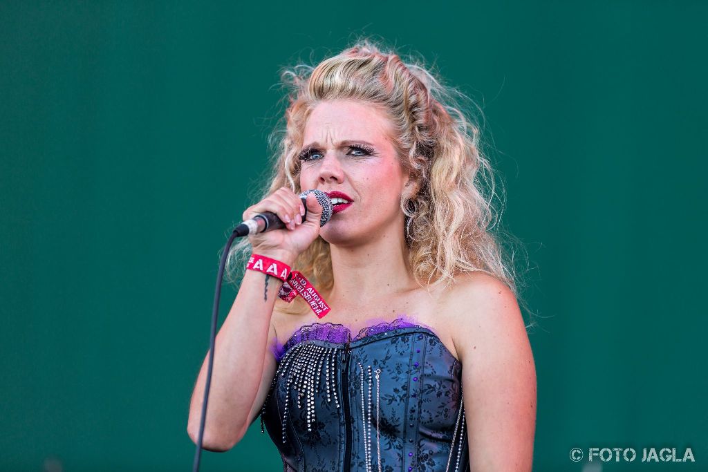 Summer Breeze Open Air 2017 in Dinkelsb�hl
KNORKATOR auf der Breeze Stage