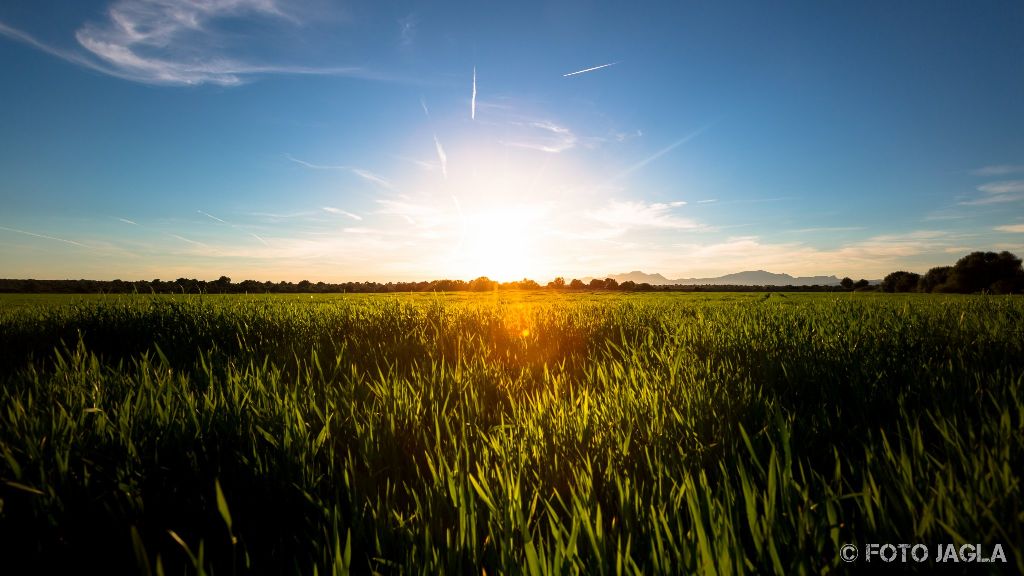 Mallorca
Irgendwo zwischen Port de Pollen�a und Ca'n Picafort