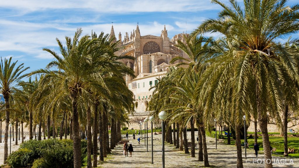 Mallorca
Kathedrale La Seu in Palma