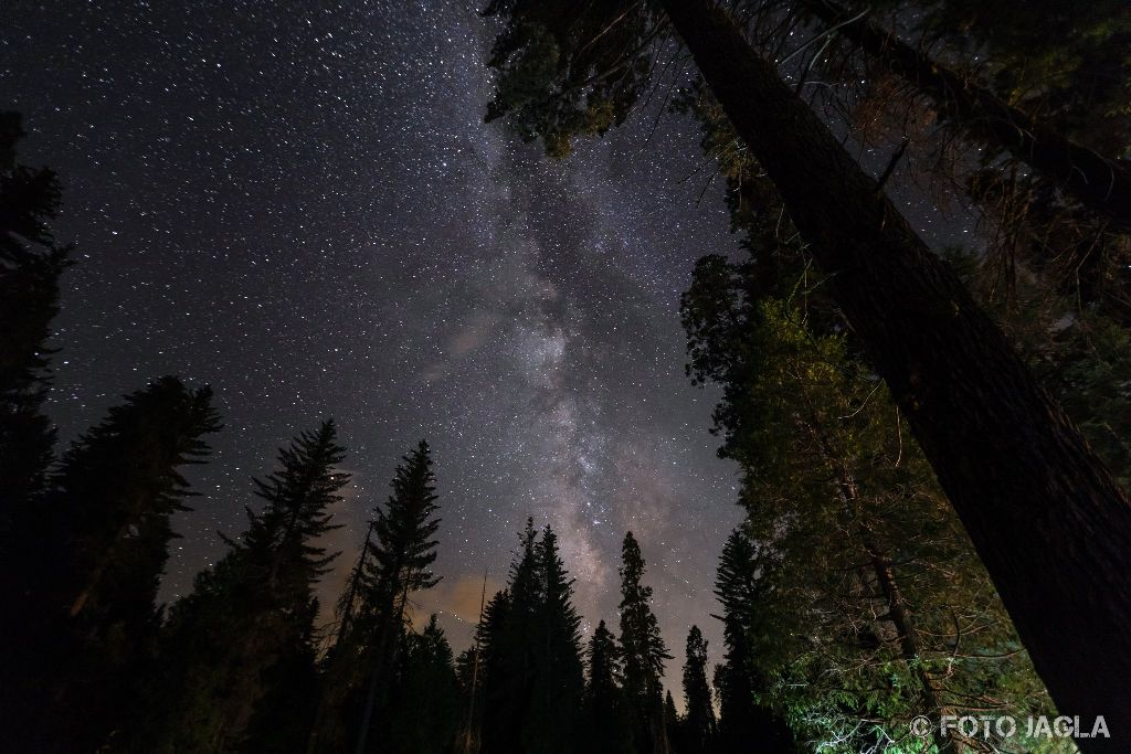 Kalifornien - September 2018
Milchstra�e am Sternenhimmel
Hume - Grant Crove - Azalea Campground