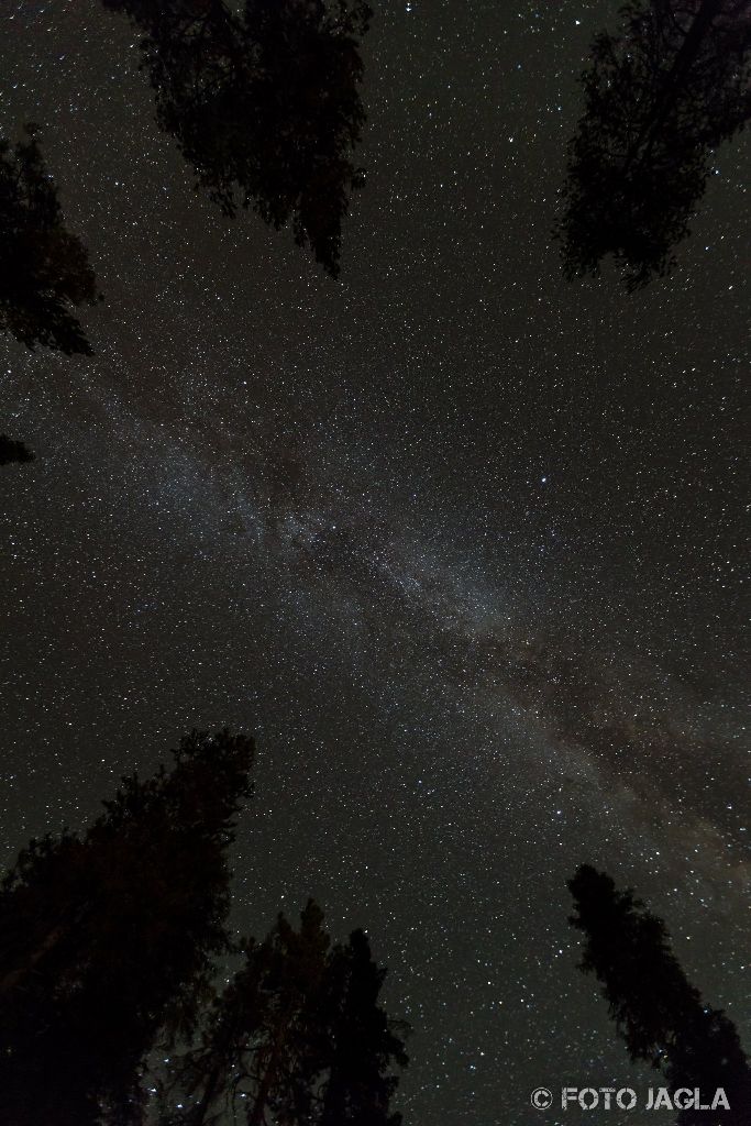 Kalifornien - September 2018
Milchstra�e am Sternenhimmel am Lodgepole Campground
Sequoia National Park - Three Rivers