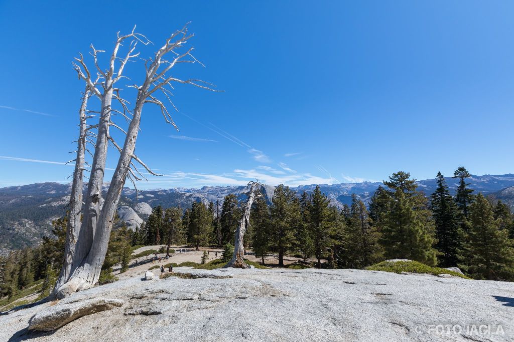 Kalifornien - September 2018
Ausblick vom Sentinel Dome
Yosemite National Park - Yosemite Valley, Mariposa Country