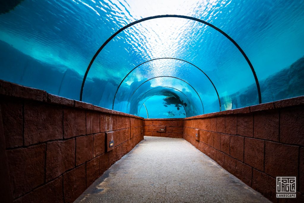Atlantis Paradise Island Resort
Unterwasser Tunnel
Bahamas, Paradise Island