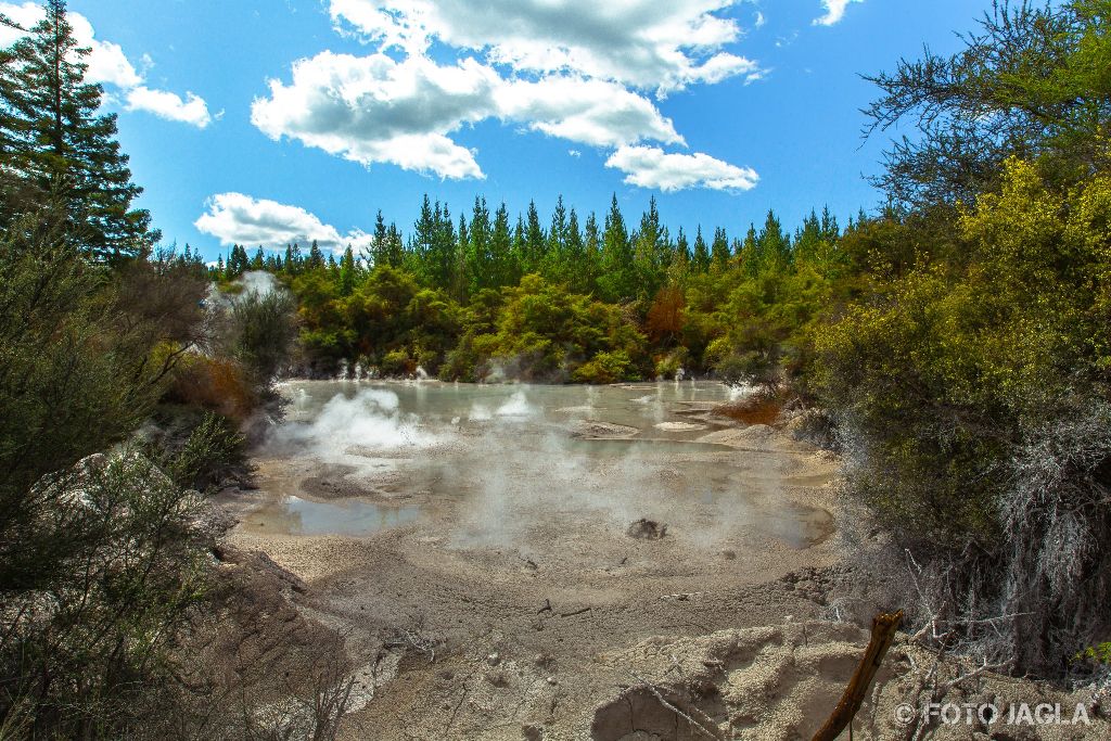 Wai-O-Tapu Thermal Wonderland
Rotura
Neuseeland (Nordinsel)
