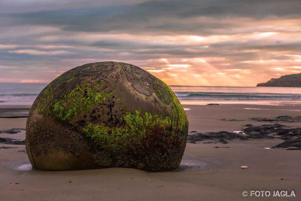 Moeraki Boulders bei Sonnenaufgang am Koekohe Beach an der K�ste von Otago
Neuseeland (S�dinsel)