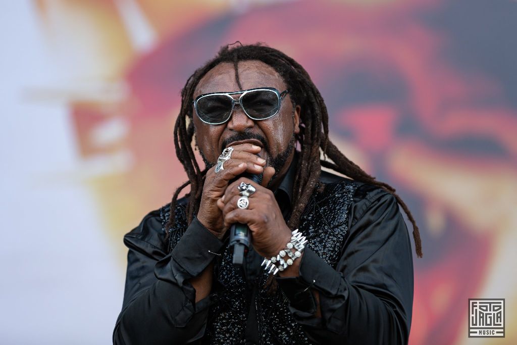 Summer Breeze Open Air 2019 in Dinkelsb�hl (SBOA)
Skindred auf der Main Stage