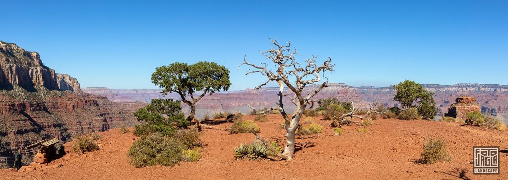 Cedar Ridge at the South Kaibab Trailhead in Grand Canyon Village
Arizona, USA 2019