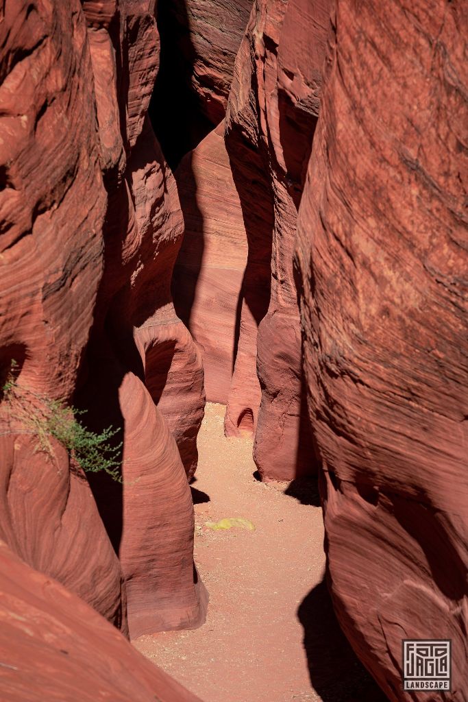 Buckskin Gulch in Kanab
Slot Canyon in Utah 2019
