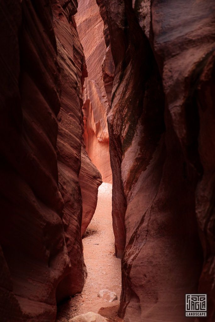 Buckskin Gulch in Kanab
Slot Canyon in Utah 2019