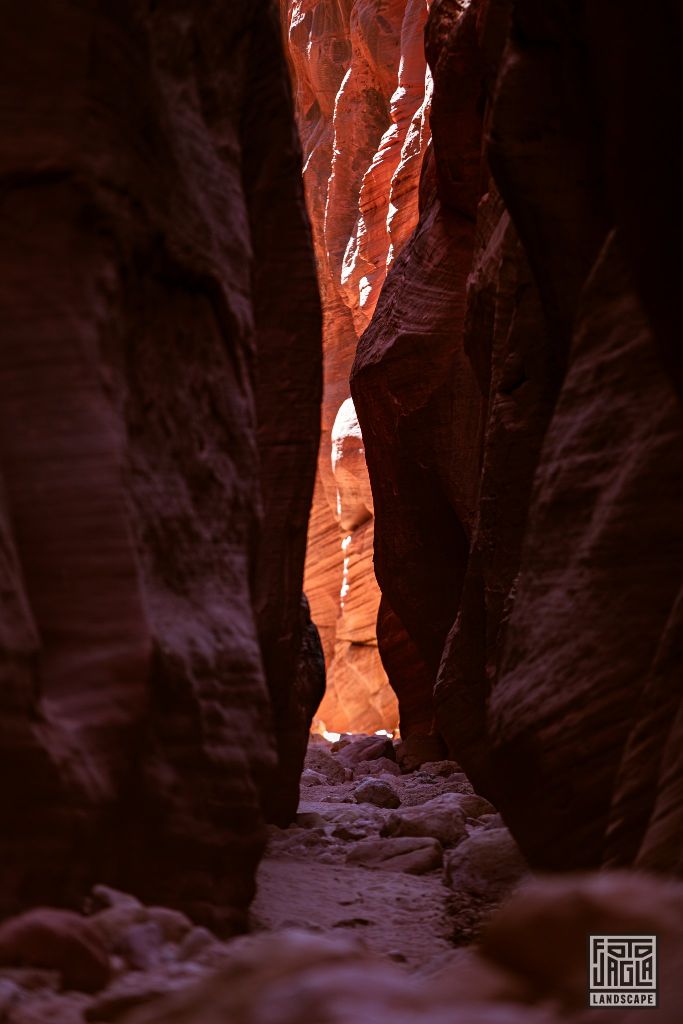 Buckskin Gulch in Kanab
Slot Canyon in Utah 2019