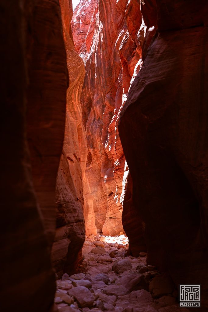 Buckskin Gulch in Kanab
Slot Canyon in Utah 2019