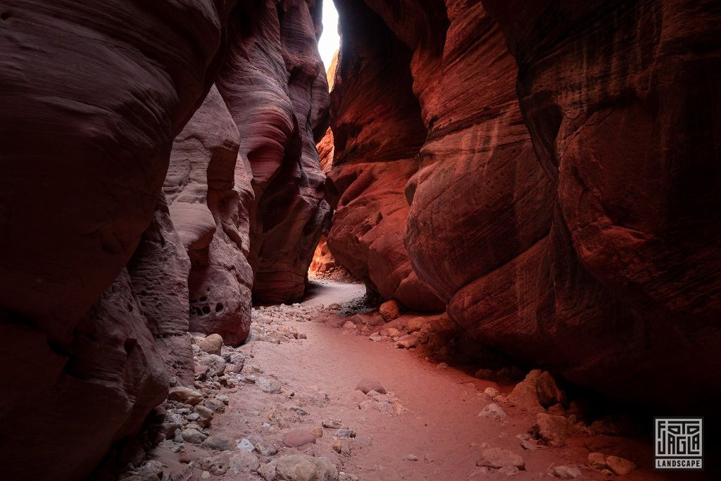 Buckskin Gulch in Kanab
Slot Canyon in Utah 2019
