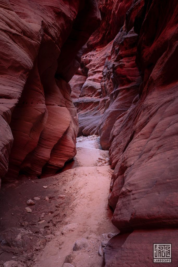 Buckskin Gulch in Kanab
Slot Canyon in Utah 2019