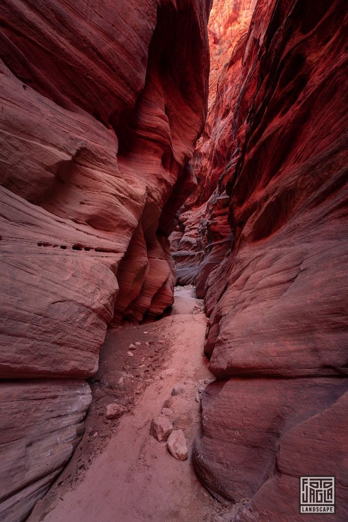 Buckskin Gulch in Kanab
Slot Canyon in Utah 2019