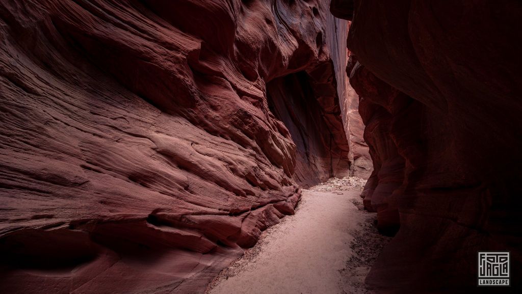 Buckskin Gulch in Kanab
Slot Canyon in Utah 2019