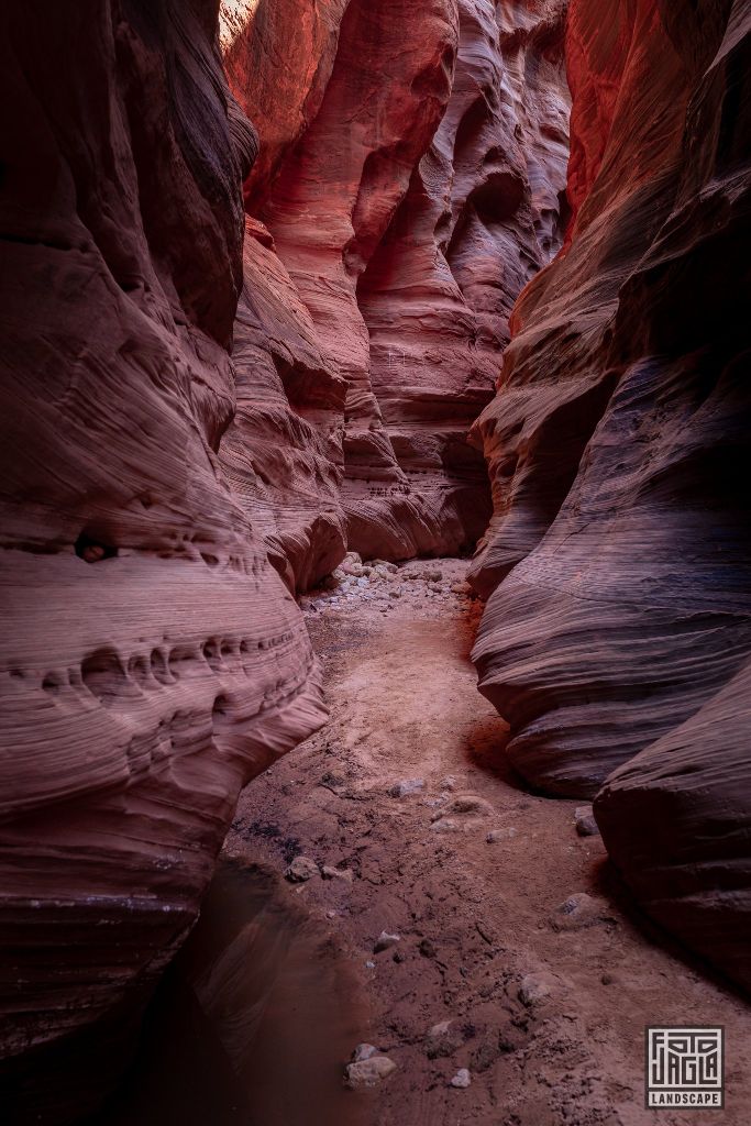 Buckskin Gulch in Kanab
Slot Canyon in Utah 2019
