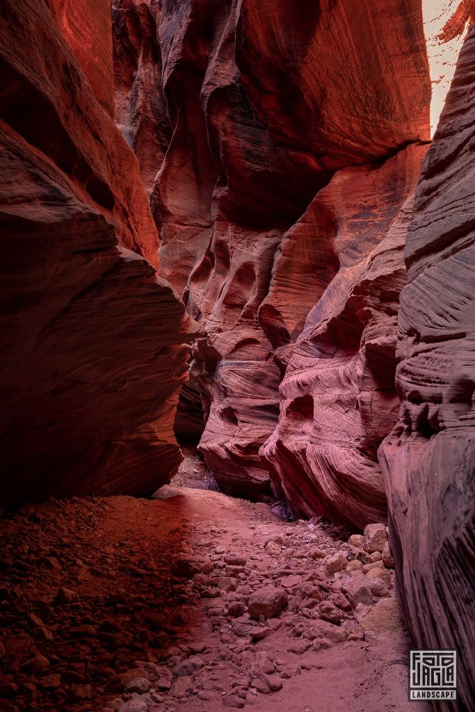 Buckskin Gulch in Kanab
Slot Canyon in Utah 2019