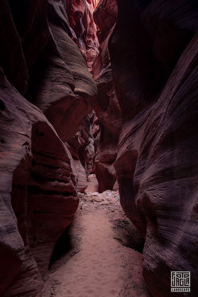 Buckskin Gulch in Kanab
Slot Canyon in Utah 2019