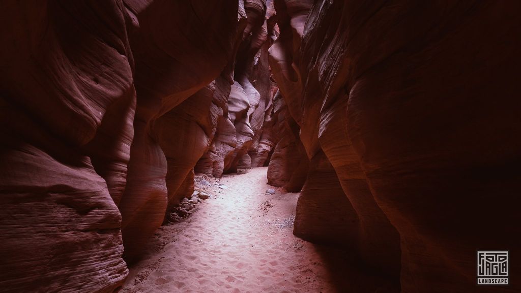 Buckskin Gulch in Kanab
Slot Canyon in Utah 2019