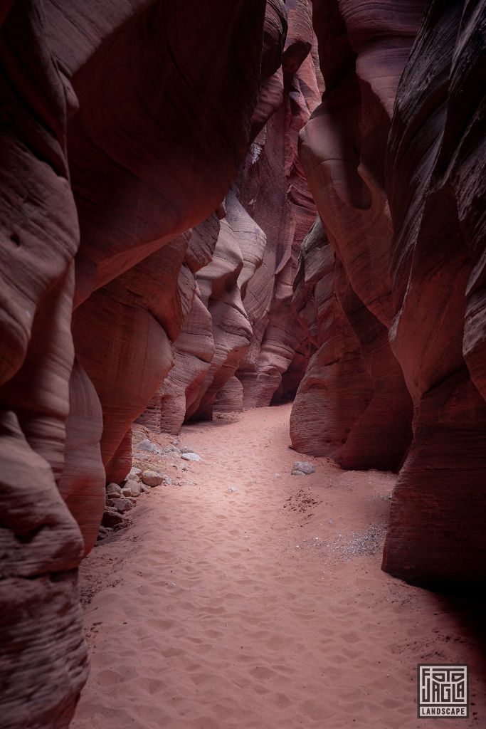 Buckskin Gulch in Kanab
Slot Canyon in Utah 2019