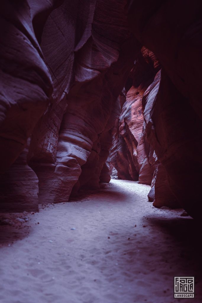 Buckskin Gulch in Kanab
Slot Canyon in Utah 2019