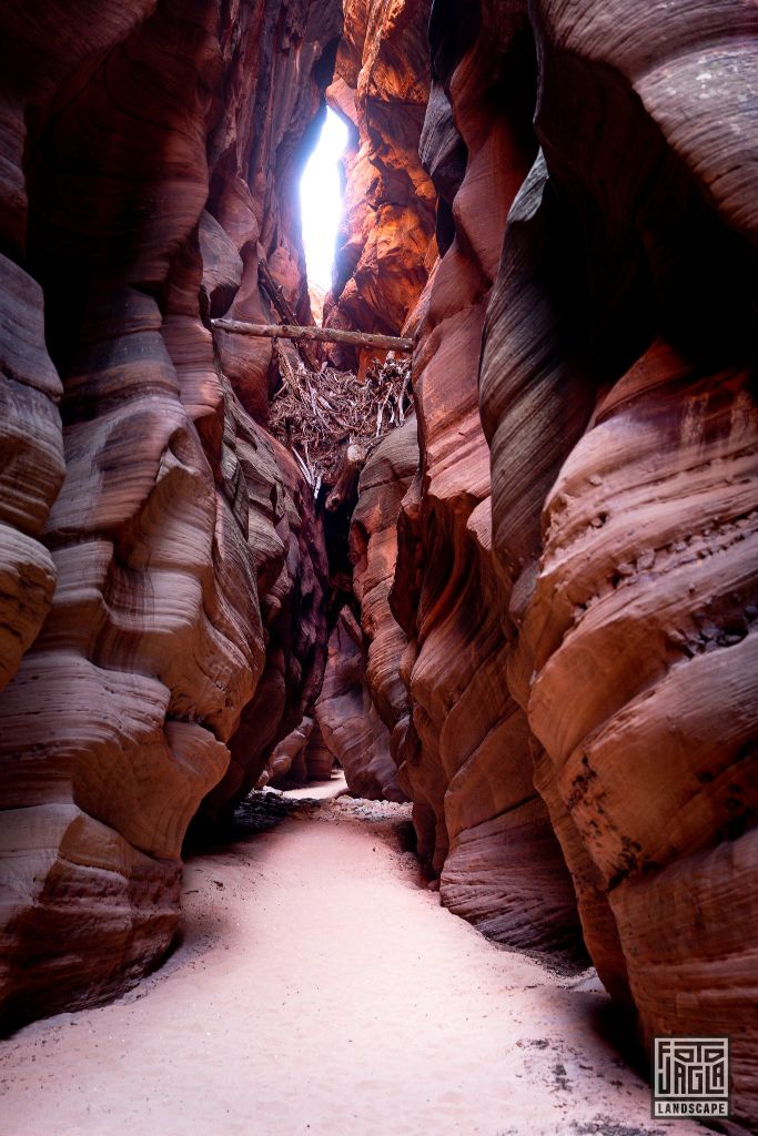 Buckskin Gulch in Kanab
Slot Canyon in Utah 2019