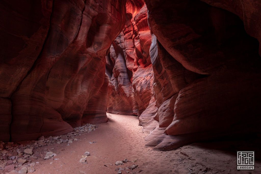 Buckskin Gulch in Kanab
Slot Canyon in Utah 2019