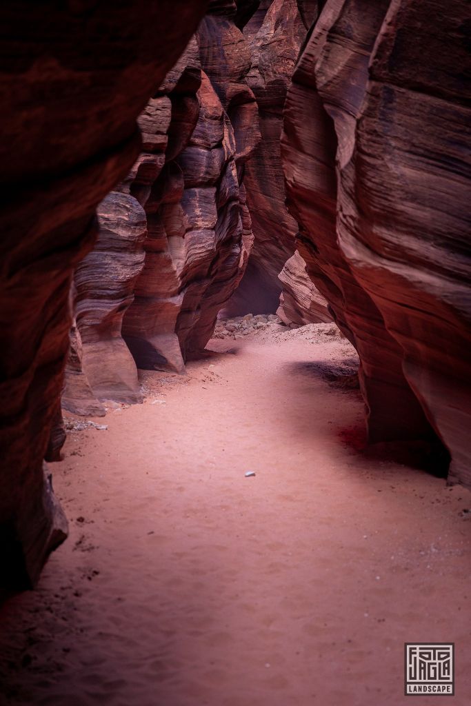 Buckskin Gulch in Kanab
Slot Canyon in Utah 2019