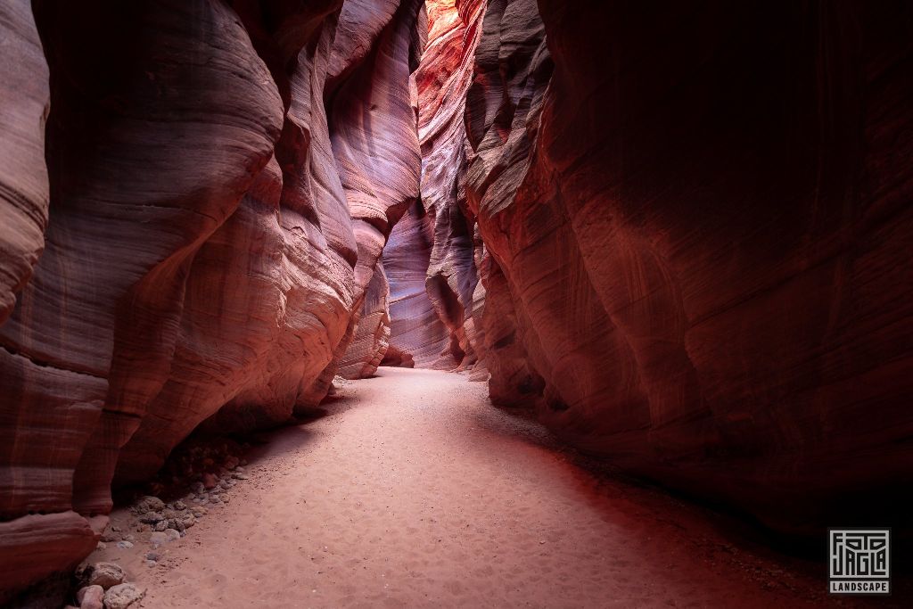 Buckskin Gulch in Kanab
Slot Canyon in Utah 2019