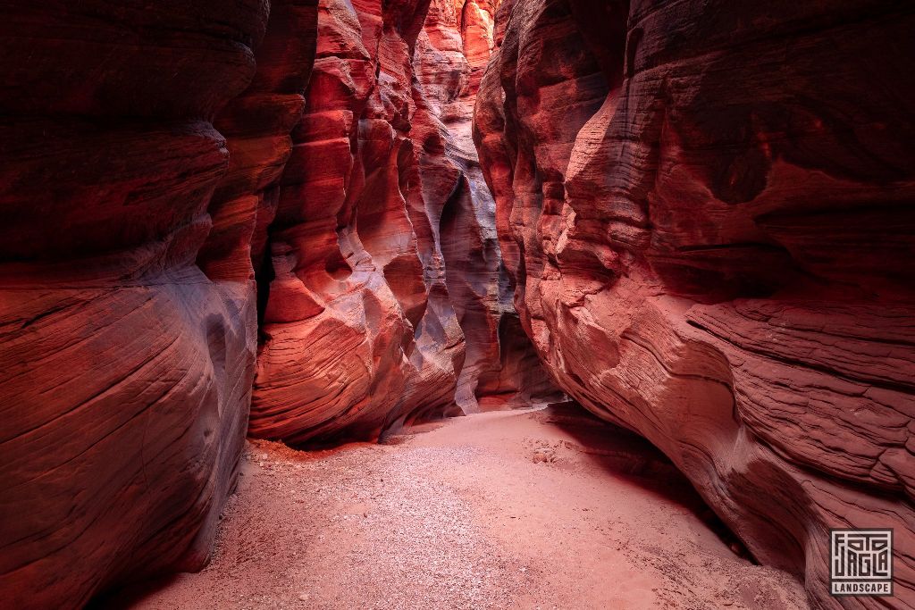 Buckskin Gulch in Kanab
Slot Canyon in Utah 2019