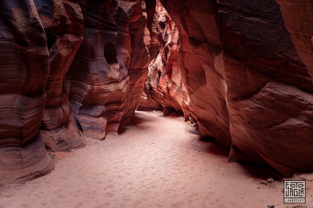 Buckskin Gulch in Kanab
Slot Canyon in Utah 2019