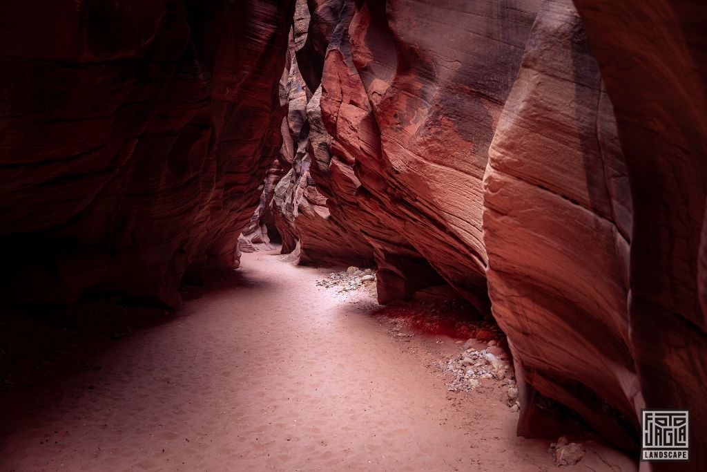 Buckskin Gulch in Kanab
Slot Canyon in Utah 2019