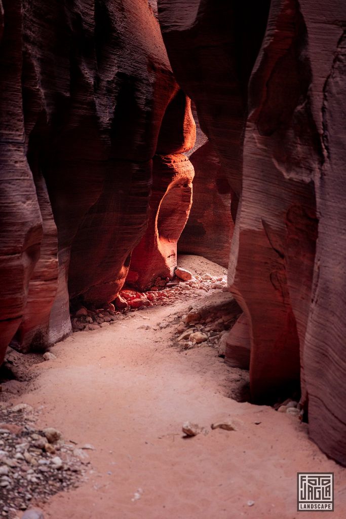 Buckskin Gulch in Kanab
Slot Canyon in Utah 2019