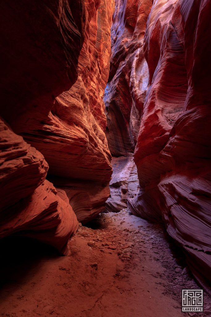 Buckskin Gulch in Kanab
Slot Canyon in Utah 2019