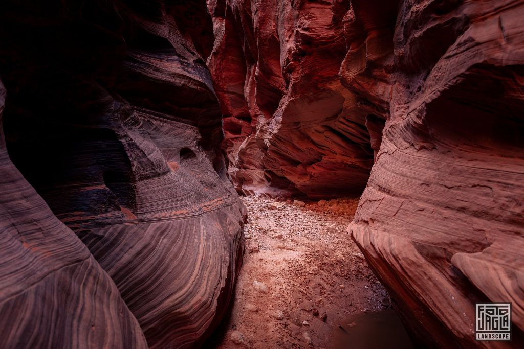 Buckskin Gulch in Kanab
Slot Canyon in Utah 2019