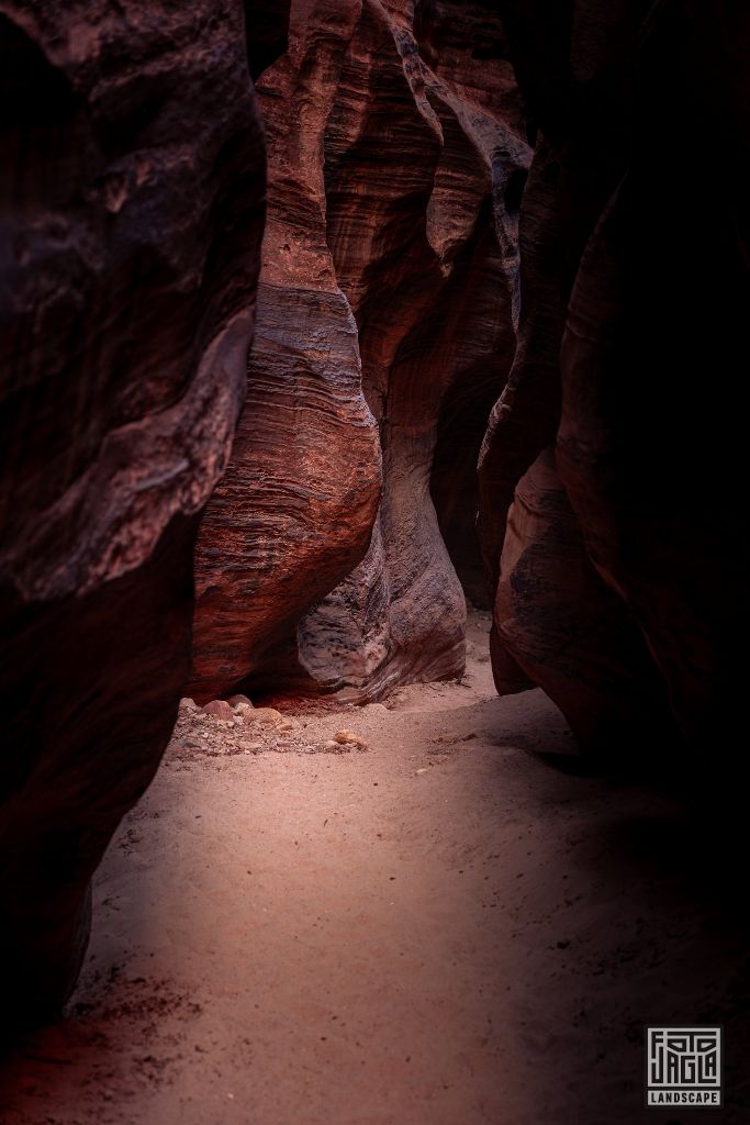 Buckskin Gulch in Kanab
Slot Canyon in Utah 2019