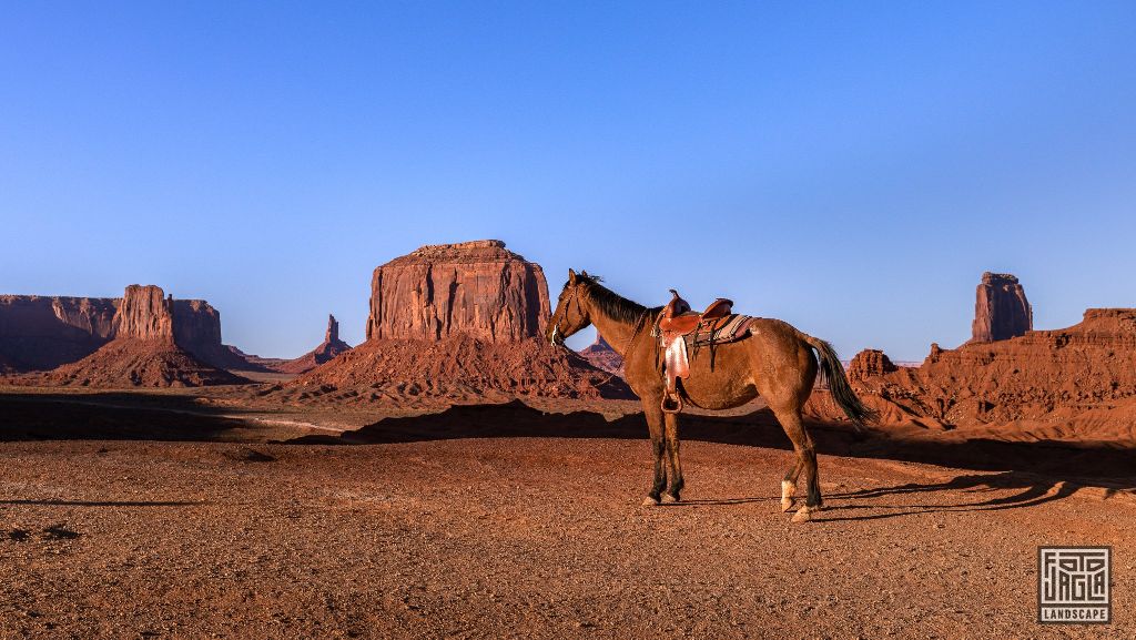 Horse at Monument Valley
Arizona, USA 2019