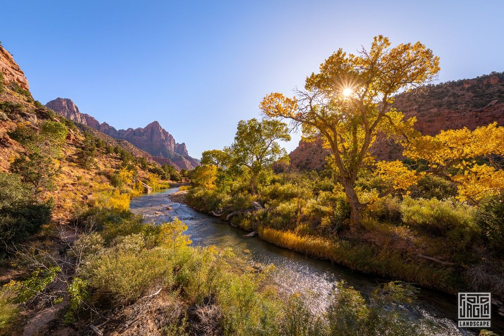 Virgin River near Canyon Junction Bridge in Zion National Park
Utah 2019