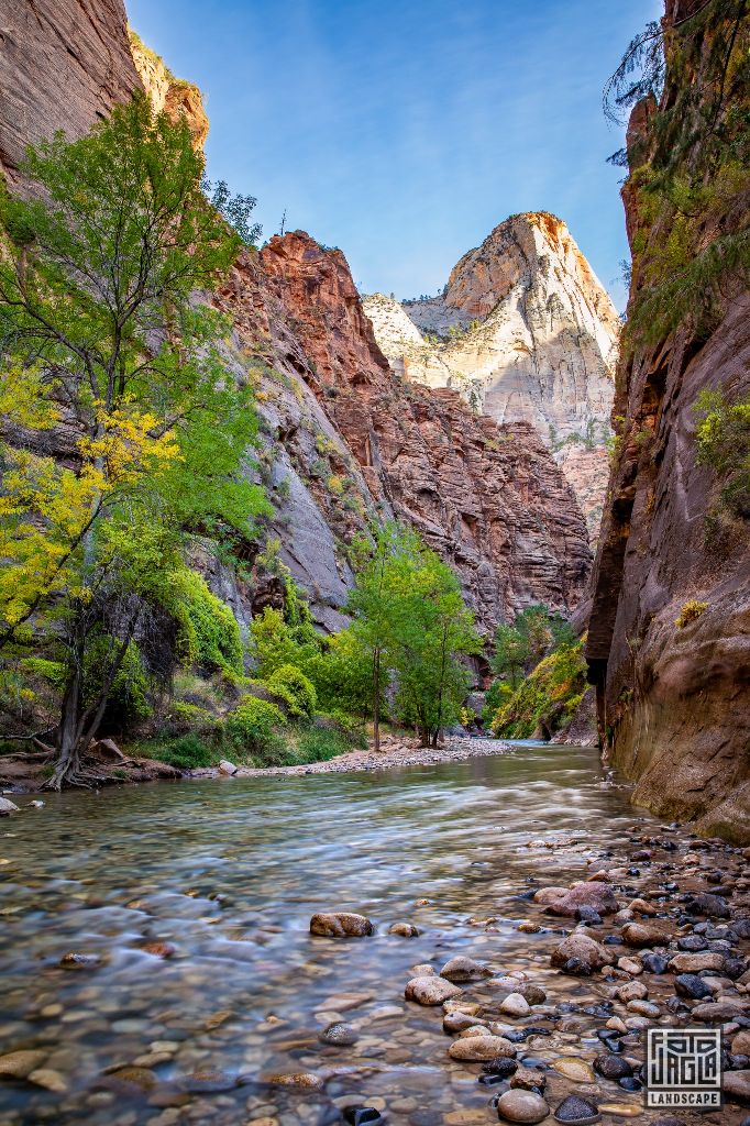 Riverside Walk along the Virgin River in Zion National Park
Utah 2019