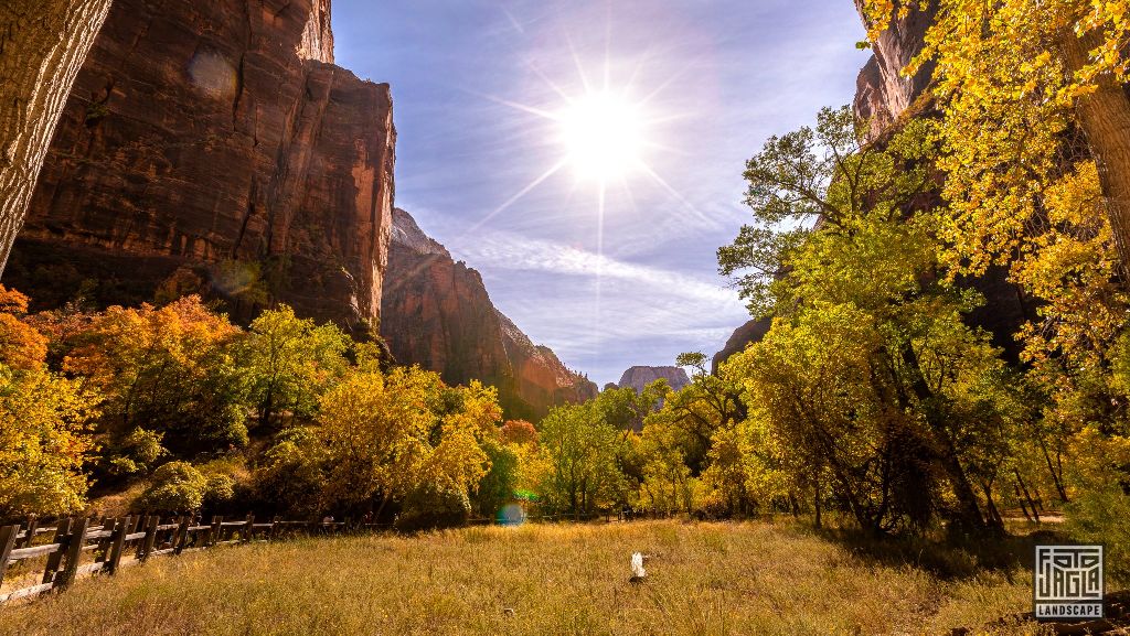 Riverside Walk along the Virgin River in Zion National Park
Utah 2019
