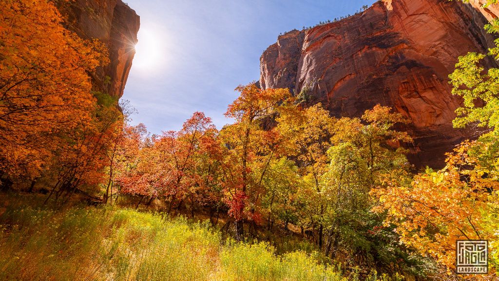 Riverside Walk along the Virgin River in Zion National Park
Utah 2019