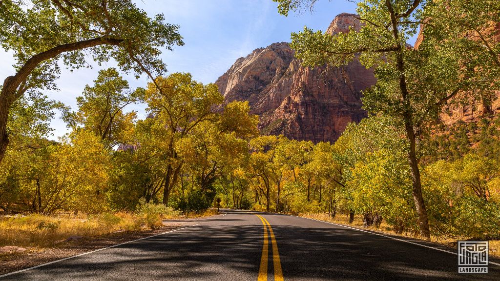 Riverside Walk along the Virgin River in Zion National Park
Utah 2019