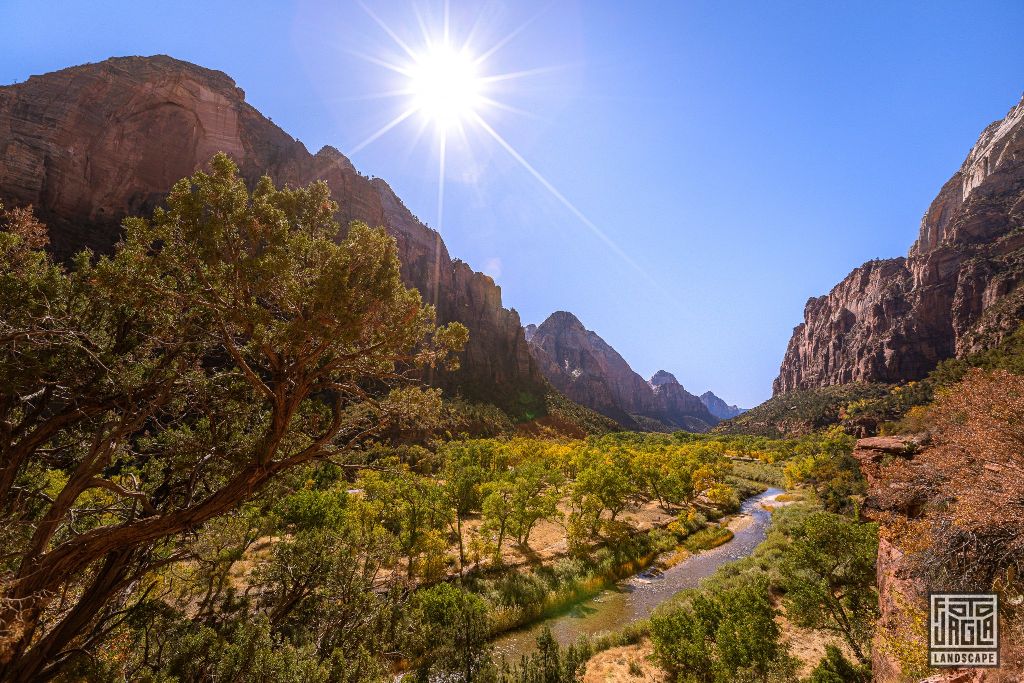 View from the Kayenta Trail in Zion National Park
Utah 2019