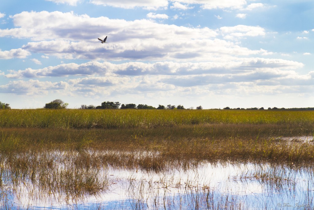 70000 Tons of Metal 2012 ::. Miami, Florida ::. Everglades