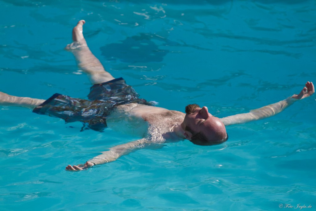 70000 Tons of Metal 2012 ::. Miami, Florida ::. Pool Impressionen