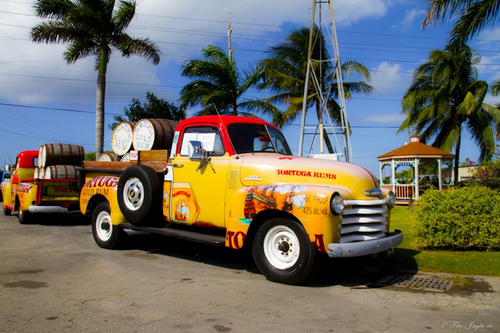 70000 Tons of Metal 2012 ::. Miami, Florida ::. Cayman Islands