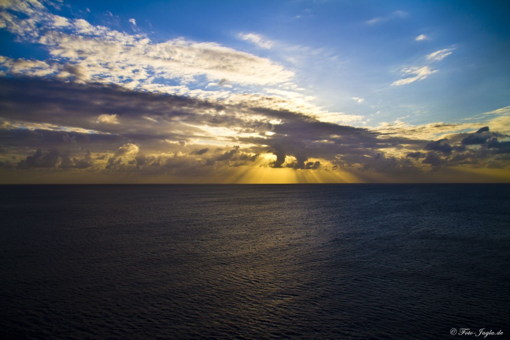 70000 Tons of Metal 2012 ::. Miami, Florida ::. Aussicht vom Pooldeck der Majesty of the Seas