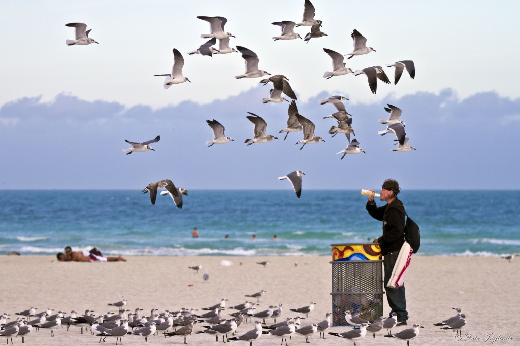 70000 Tons of Metal 2012 ::. Miami, Florida ::. South Beach am Abend