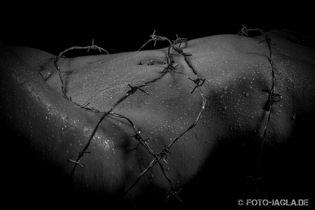 Studioaufnahme mit Wassertropfen und Stacheldraht