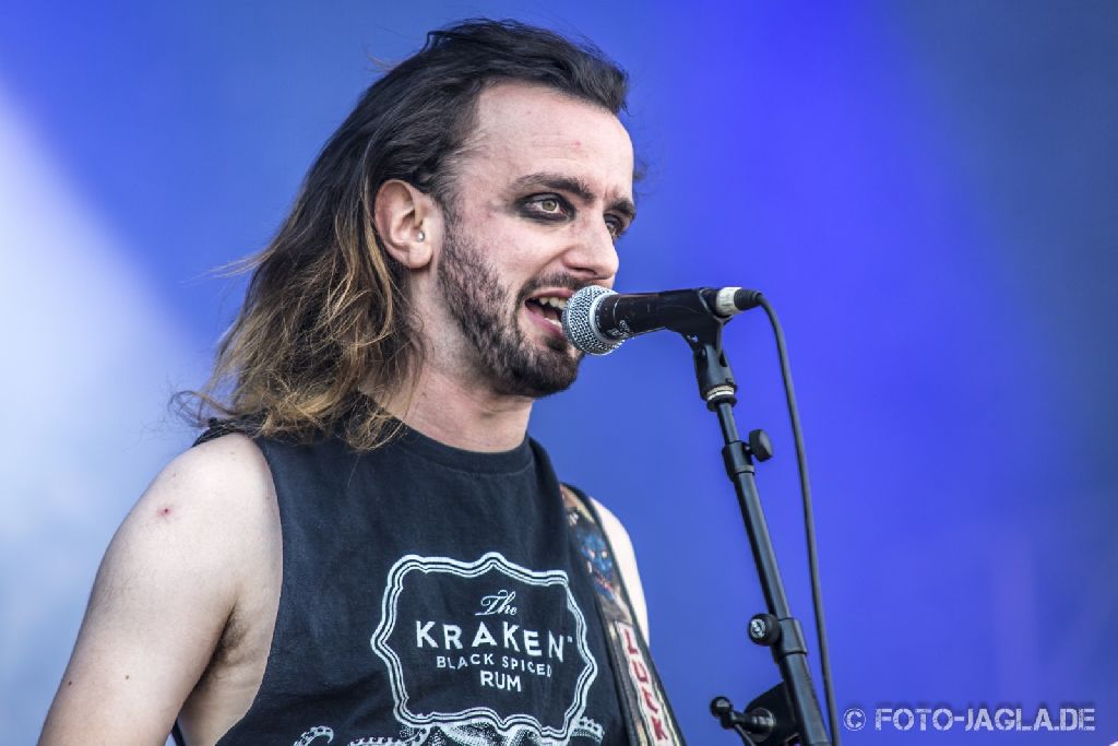 Summer Breeze 2013 ::. Alestorm